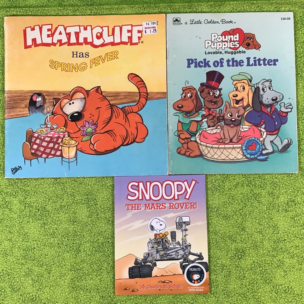 Heathcliff, Pound Puppies and Snoopy Storybook Collection.